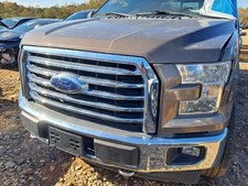 Driver Corner/Park Light Fog-driving Fits 15-17 FORD F150 PICKUP 4851135