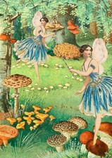 Fairy Ring Art Blank Greeting / Birthday Card - Vintage Fairies Mushrooms Fungi