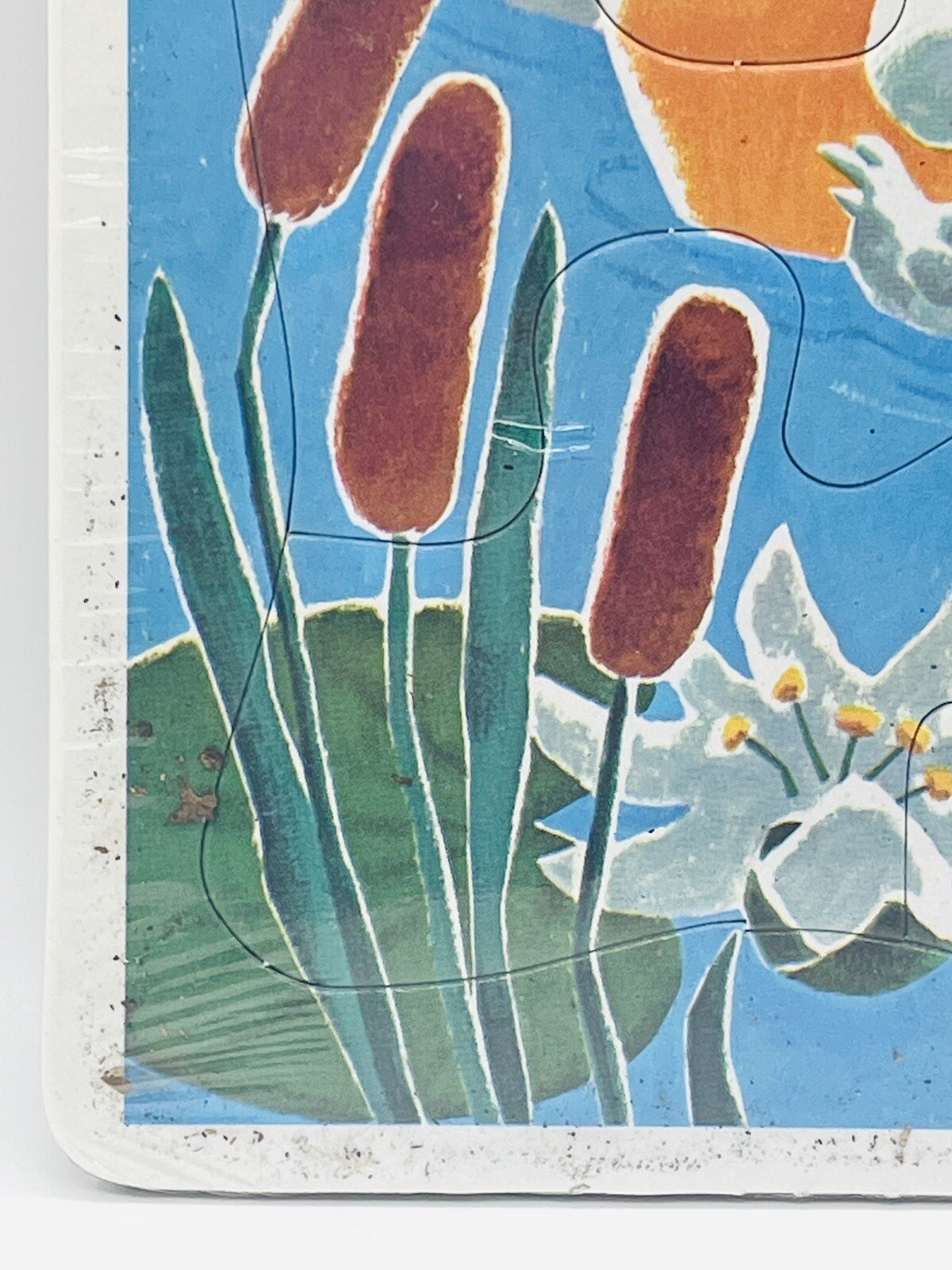 Picture 5 of 10