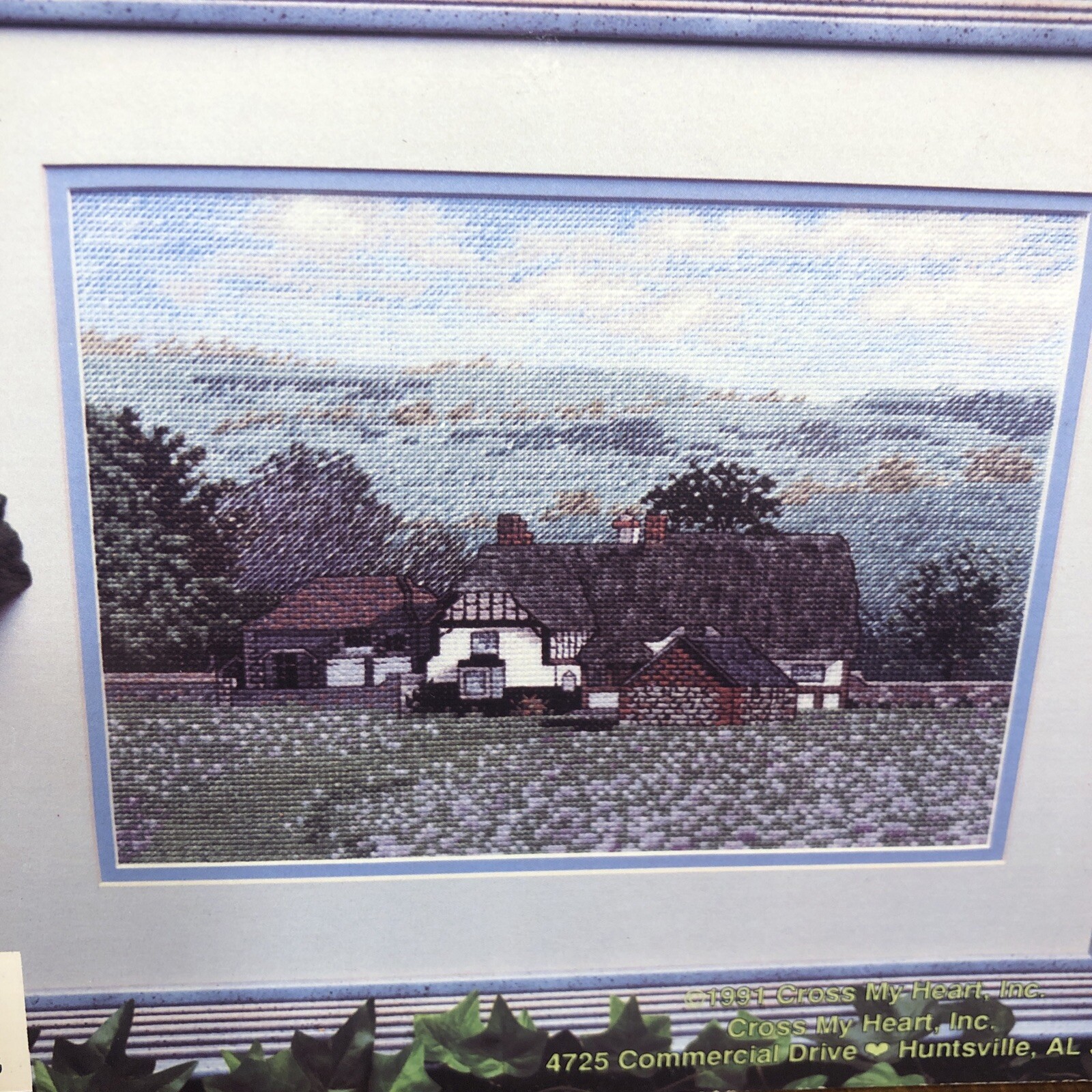 Picture 11 of 16