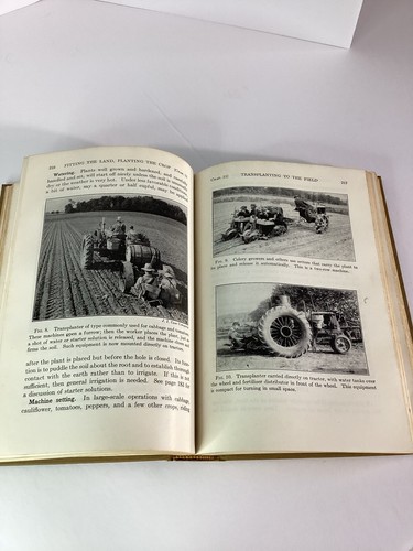 Vtg Paul Work Vegetable Production and Marketing Book 1945 Edition - Imagen 11 de 16
