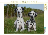 Calvendo Puzzle Dalmatians In The Vineyards | 1000 Pieces, Finished Size 25.2 ×