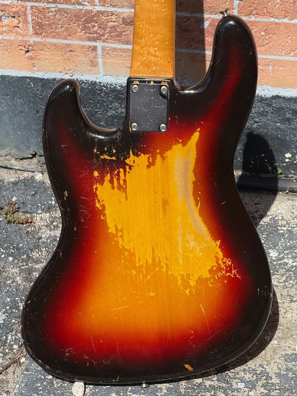 Picture 7 of 24