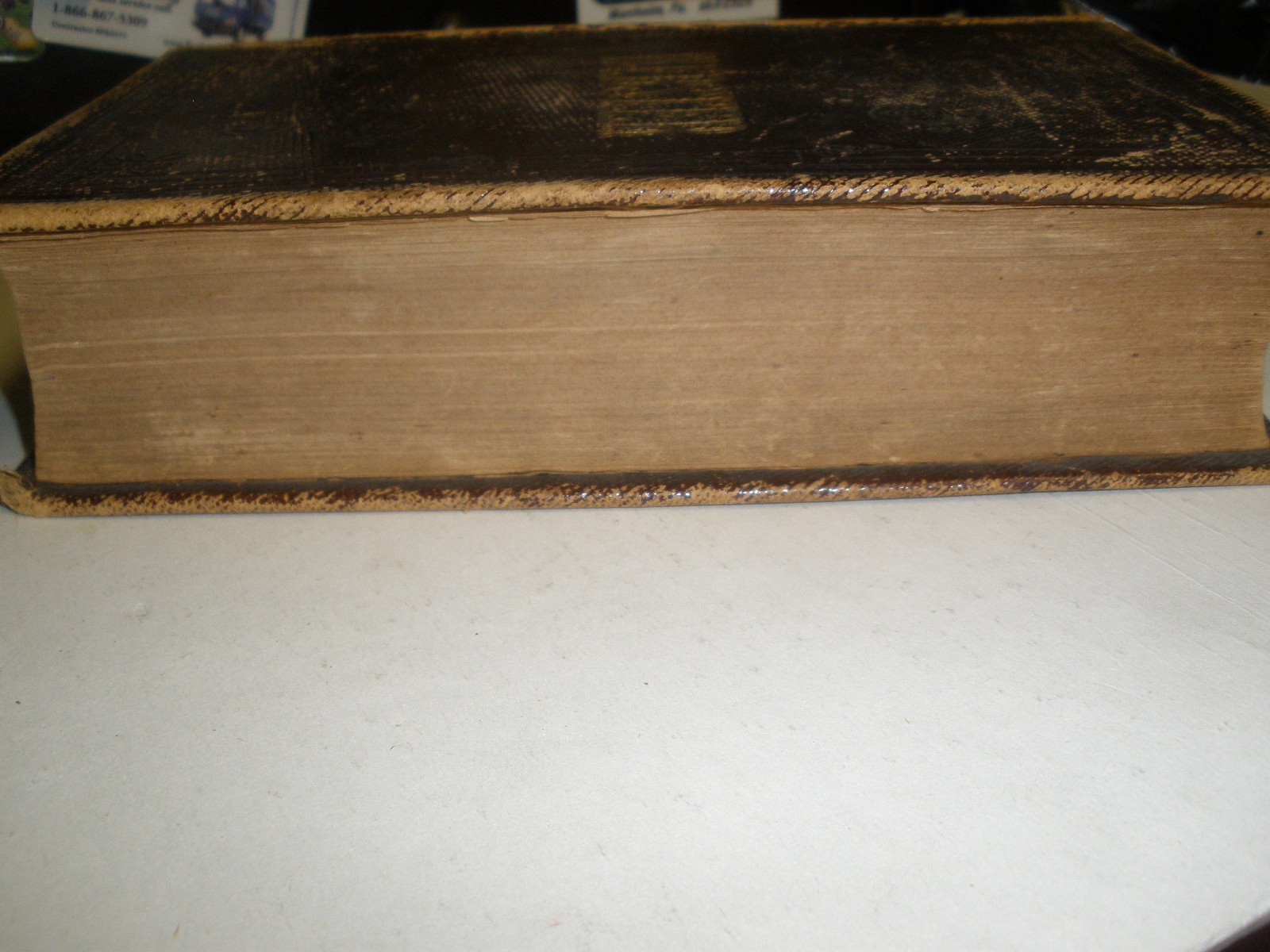 Picture 5 of 10