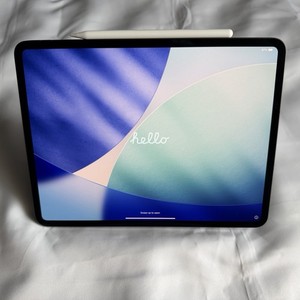 iPad Pro 13 M4 | eBay