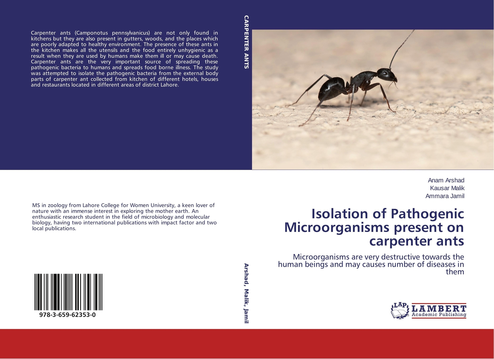 Thumbnail - Anam Arshad (u. A.) | Isolation Of Pathogenic Microorganisms Present