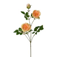 artplants Deko Zweig Pfingstrose Krovel, Aprikose, 75Cm