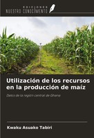 UtilizacióN De Los Recursos En La ProduccióN De MaíZ Kwaku Asuako Tabiri Buch