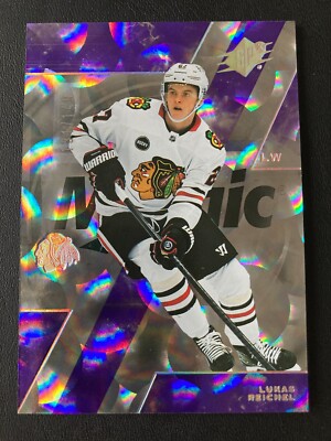 2023-24 SPx Purple Parallax 73 Lukas Reichel ed/149