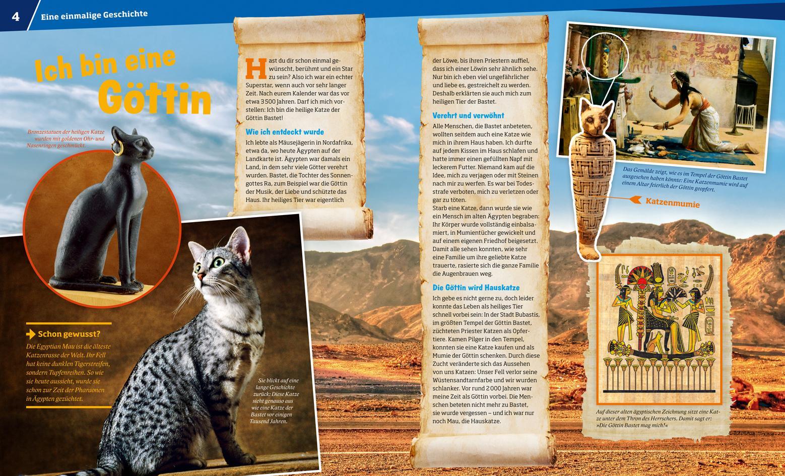 Thumbnail - Jutta Aurahs Was Ist Was Band 59 Katzen. Flinke Jäger Auf Samtpfoten