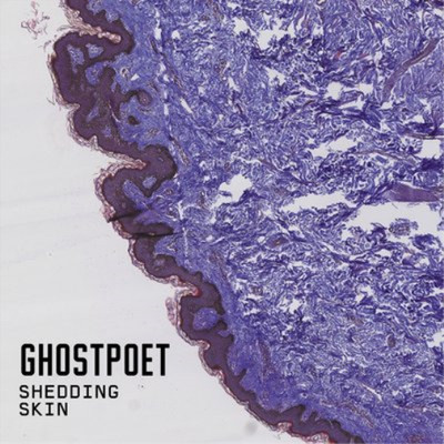 Ghostpoet Shedding Skin (CD) Album Digipak