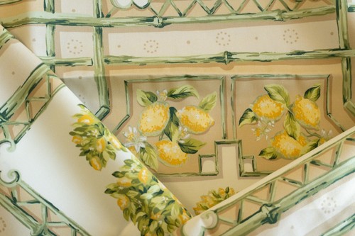 "Lemoncello" Tyler Hall Lemon Tree Mandarin Bamboo green and white On Cotton Sat - Picture 4 of 8