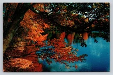 Vintage Photochrome Autumn Lake Scene Tichnor Bros. Lithograph Postcard