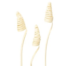 Cane Cone gebleicht 25 St Dekoration Trockenblumen Holz, 25 St&uuml;ck