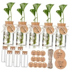 3.54'' Plastic Plant Propagation Stations with Hole Lid 4oz Planter 12 Cute