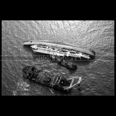 Photo B.000087 MS HERALD OF FREE ENTERPRISE FERRY SHIP TOWNSEND THORESEN 1987