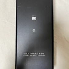 Limited Edition Dong-A Junggong Synthetic Human Figure No.786