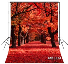 Autumn Scenery Vinyl Backdrop Red Leaves Forest Photo Background Studio Props