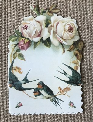 Brian Paterson Victorian Floral Blank Note Card Birds Roses Flowers Pretty