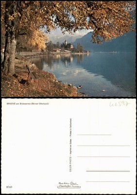 Ansichtskarte Brienz BE Brienzersee (Berner Oberland) 1995