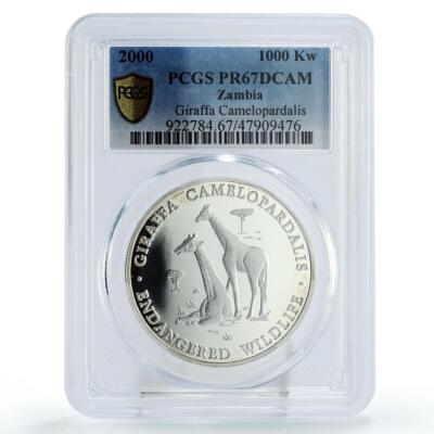 Zambia 1000 kwacha Endangered Wildlife Giraffes Fauna PR67 PCGS