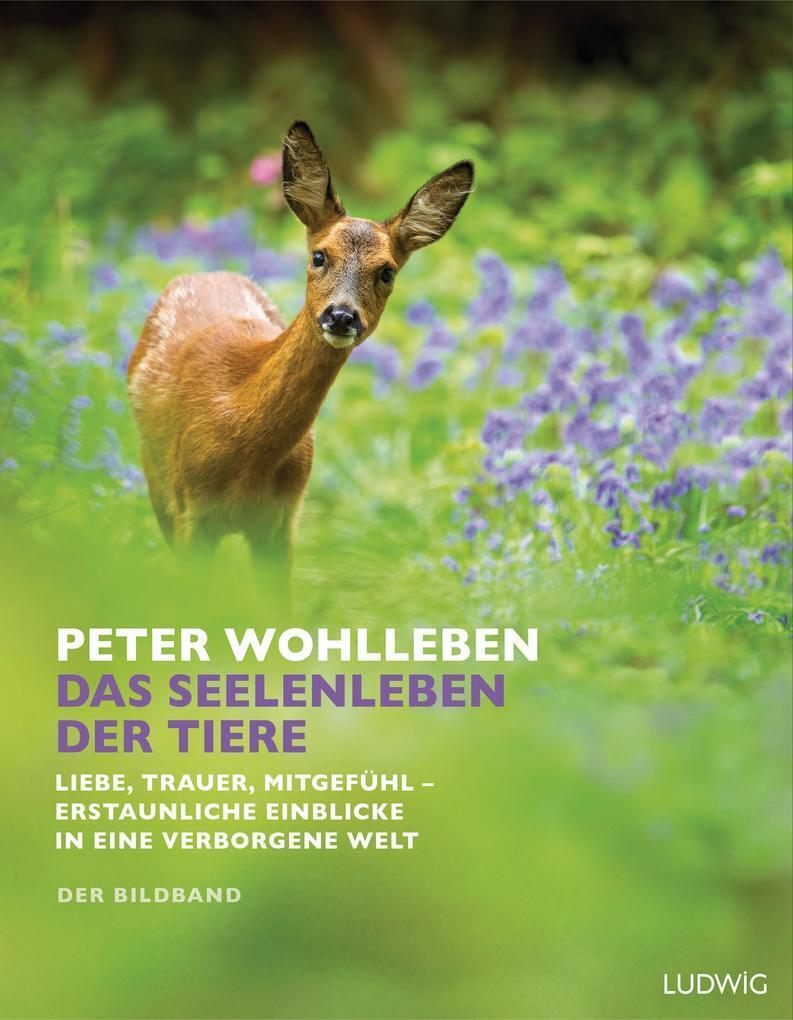 Thumbnail - Das Seelenleben Der Tiere. Der Bildband | Peter Wohlleben | 2018 |