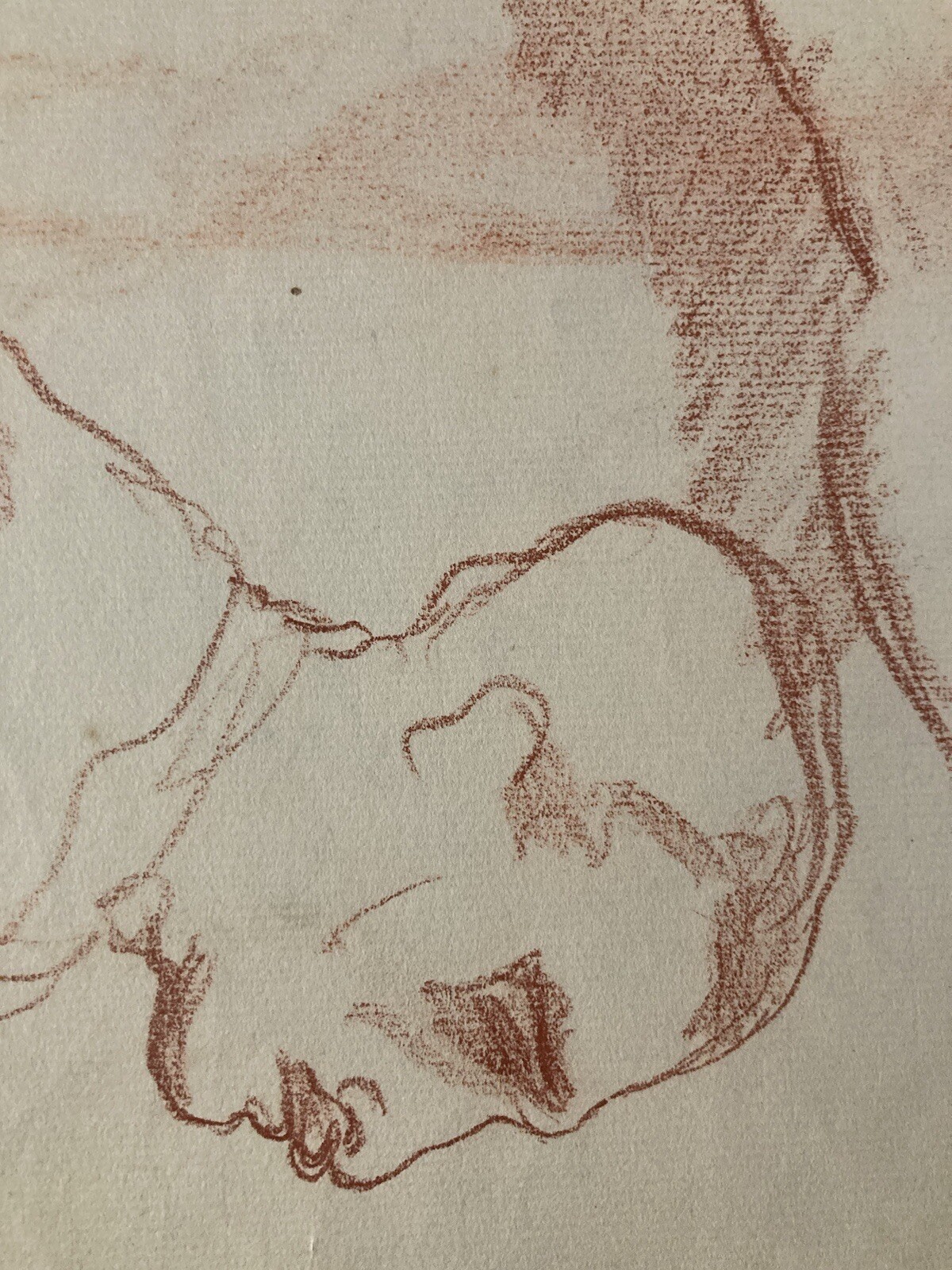 Picture 5 of 12