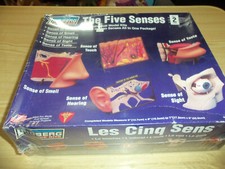 Touch Smell Hearing Sight Taste The Five Senses NEW Lindberg 3D Model Set 71315