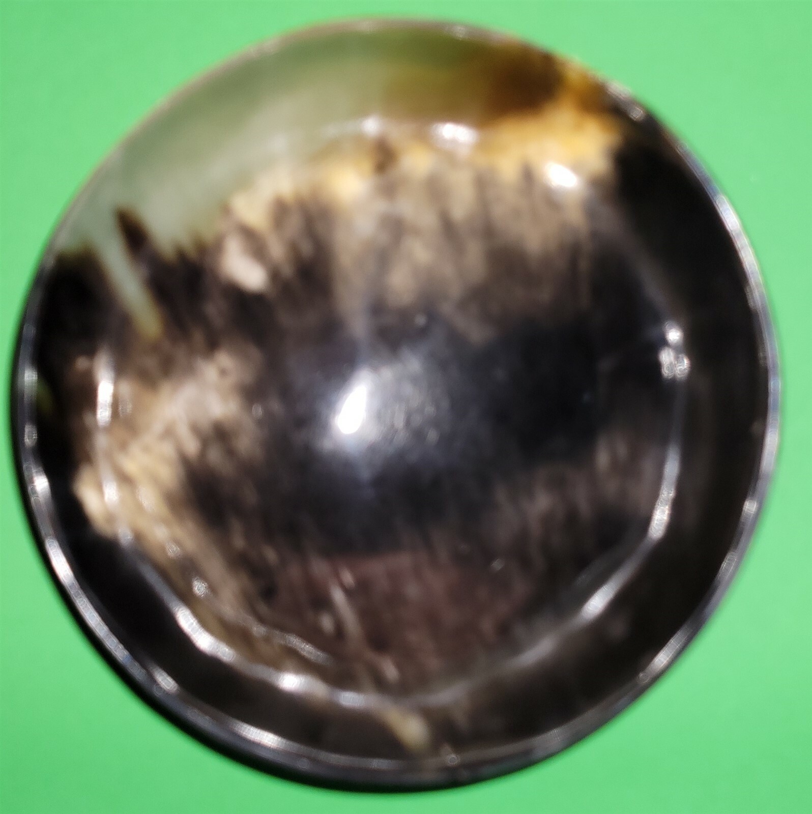 Polished buffalo horn bowl measuring 6