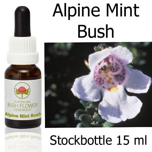 ALPINE MINT BUSH Australian Bush Flower Essences Buschblüten - Bild 1 von 1