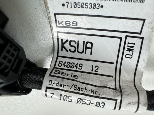 BMW S1000XR K69 2020-2024 Arnés De Cable Principal - Imagen 7 de 12