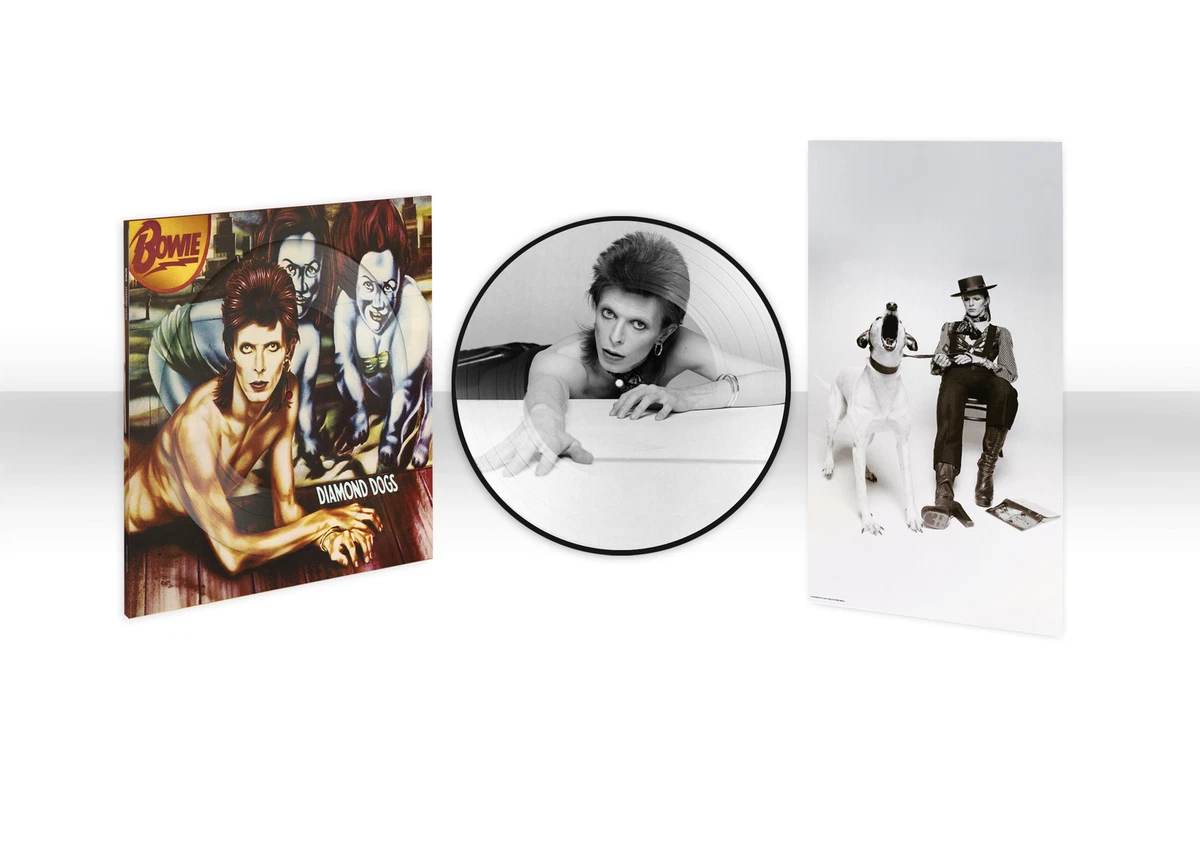 Preços baixos em David Bowie Foto Disco Music Records | eBay
