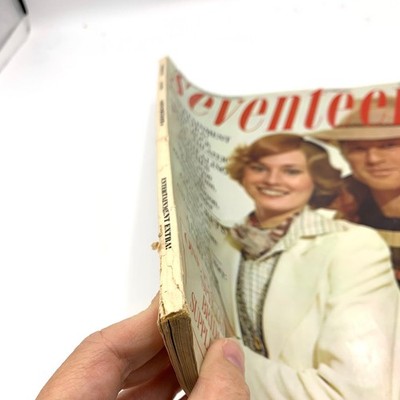 Seventeen Magazine October 1973 Robert Redford Cover Bridal