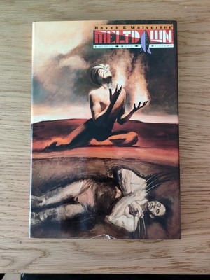 Havok and Wolverine Meltdown Graphitti Designs Limited Edition HC