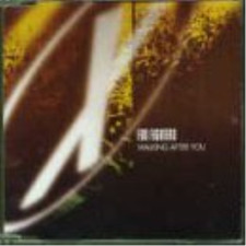 Foo Fighters Walking After You (CD)