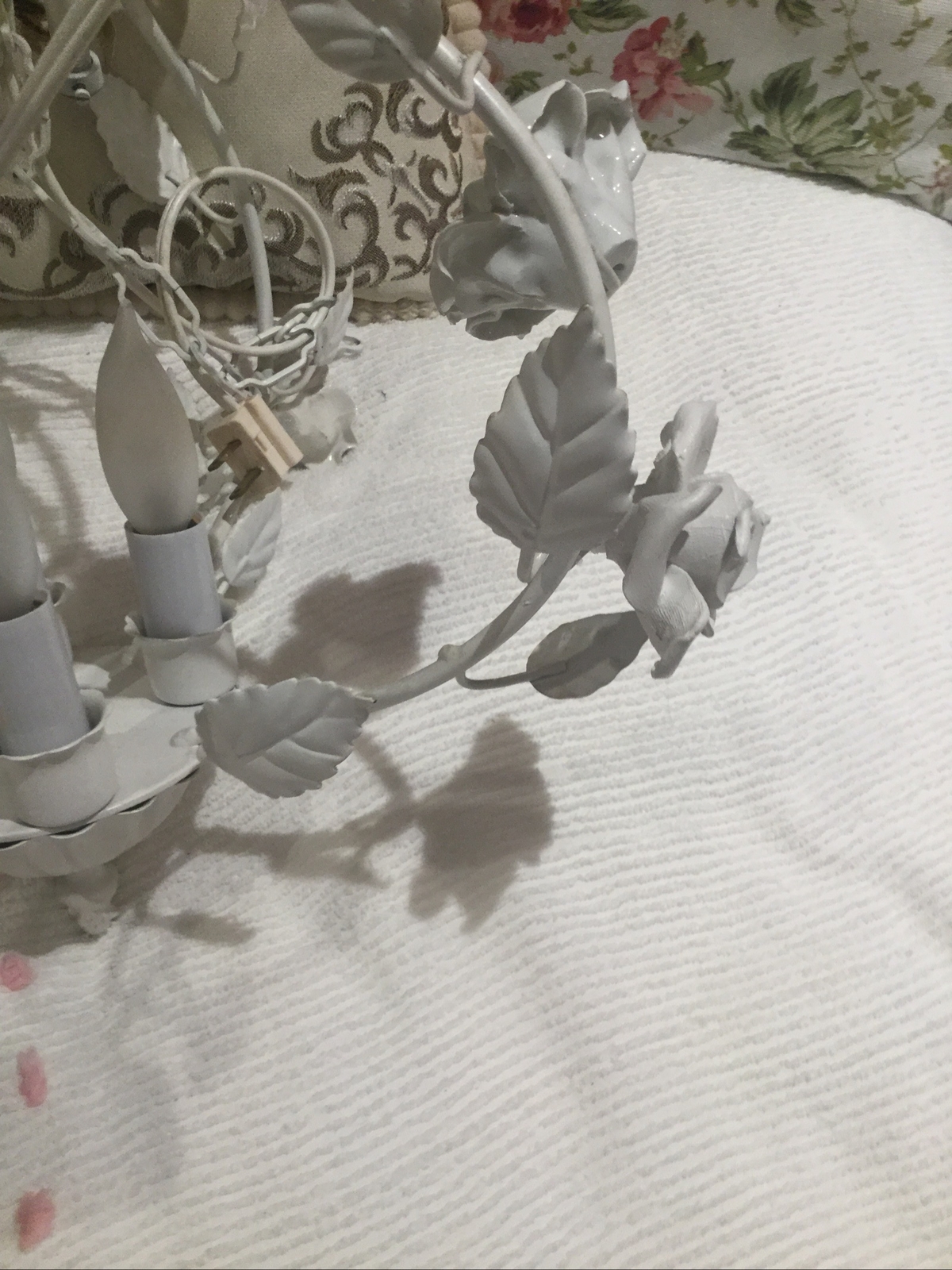 Foto 5 di 12