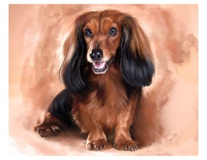 artav Dachshund 09 Art Print on Watercolor Paper