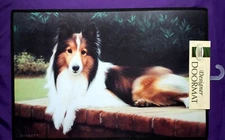 Fiddler's Elbow Collie Dog-Designer Doormat 18" x 27"- Indoor/Outdoor