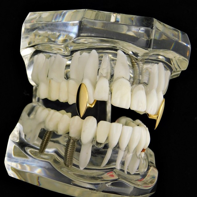 14k Gold Plated Fang Grillz One Single Cap Canine K9 Tooth Fangs