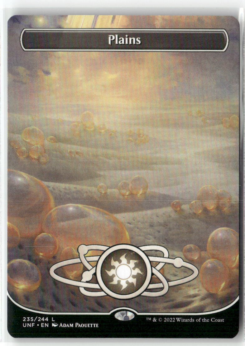Plains (235) (Borderless) 235 Land Unfinity Magic: The Gathering Near Mint