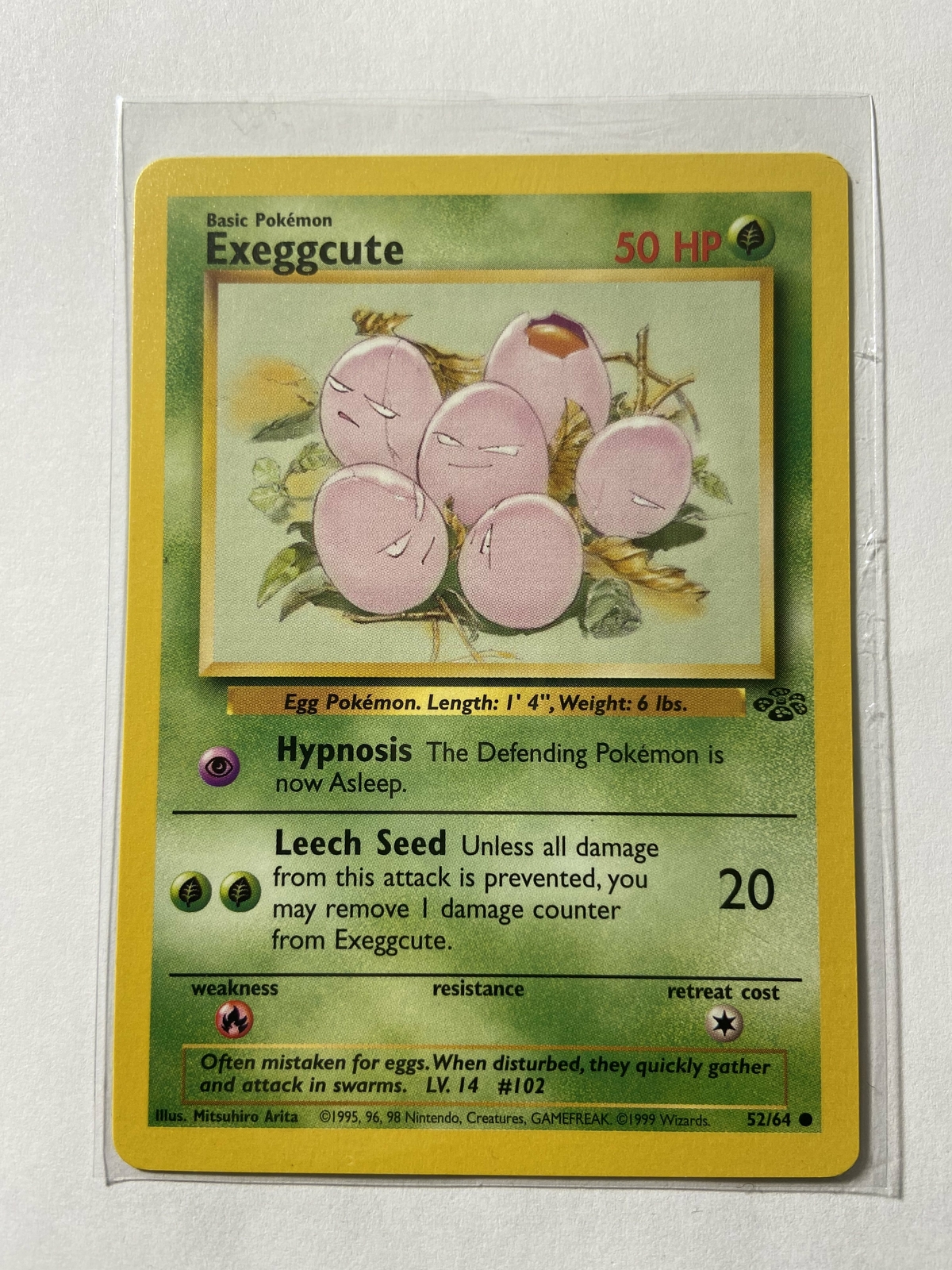 Exeggcute Jungle near mint condition ENGLISH  52/64