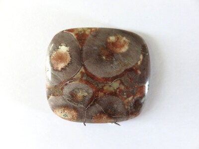 Bird Eye Jaspis/Jasper Cabochon 44,5x41,6 mm 113 ct. Nr. U27261