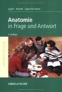 Anatomie: in Frage und Antwort von Lippert, Herbert | Buch | Zustand gut