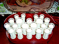 CLAIROL TRAVEL TIME SAVER INSTANT HEAT 20 HOT ROLLERS CLIPS PTC-20 Dual Volts