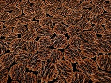 Holiday Noel Fabric Christmas Timeless Treasures Pinecones By the Yard