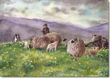 Doodlecards Art Birthday Card Flock of Sheep Painting