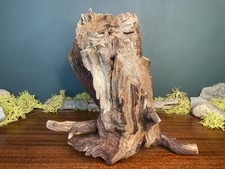 10 Manzanita Driftwood Branch, Aquarium Terrarium Aquascaping, Burl,Home Decor