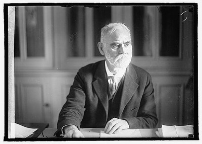 James R. Mann,United States Representative from Illinois,American Politician