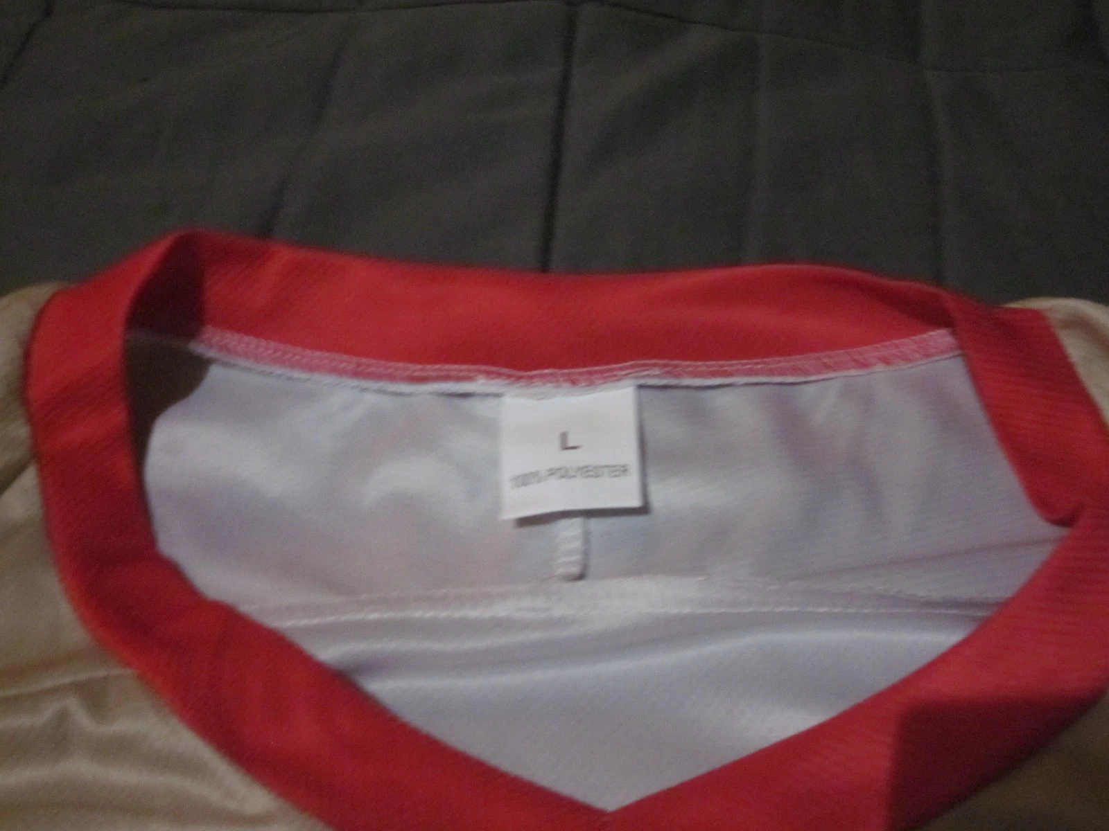 2025-2026 SPRINGFIELD THUNDERBIRDS TEAM SIGNED SGA JERSEY-26 GRAPHS-LUCIC-PECA