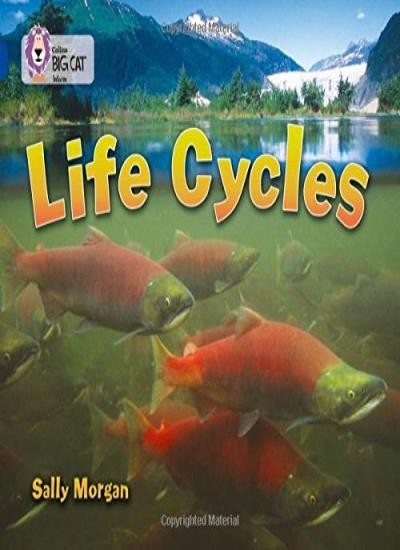Collins Big Cat - Life Cycles: Band 16/ Sapphire-Sally Morgan